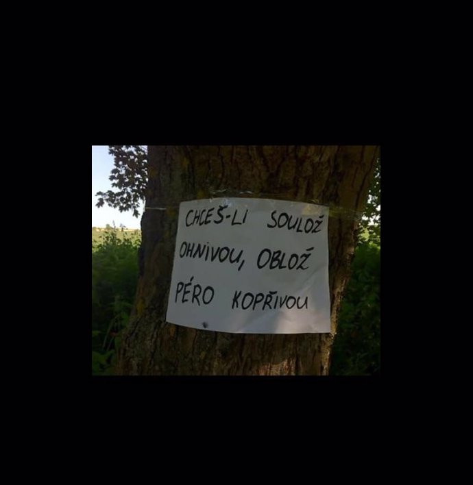 Foto k tématu Zábava – stránka 142