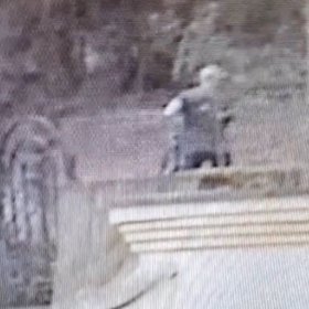 Psa jen venčil, majitelkou zvířete je neznámá žena.