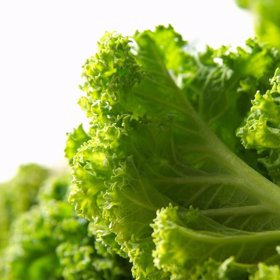 Stát by mohl zasáhnout.