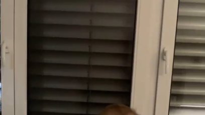 FOTO: Noční sovička Rumia nedala Monice spát.