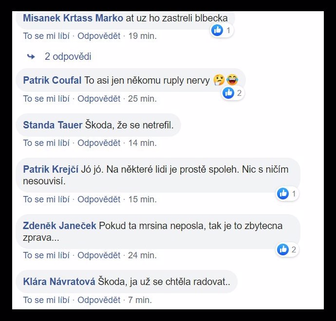 FOTO: Andrej Babiš byl v ohrožení. – stránka 1734