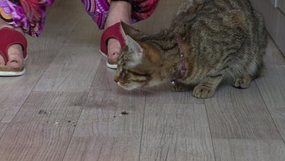 FOTO: Výměna manželek