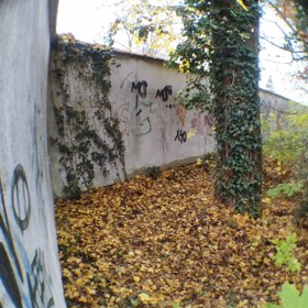 Studentka fyzioterapie byla ubodána.