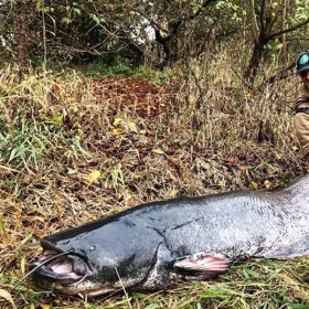 S Charliem začínali poprvé na lovu sumců.