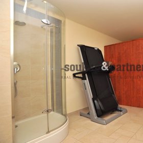 Saunu nemá doma každý.