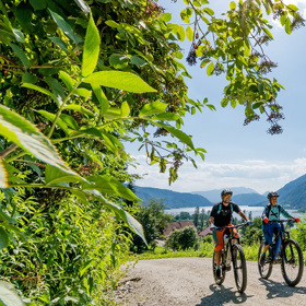 Claim: Na kole až na konec světa