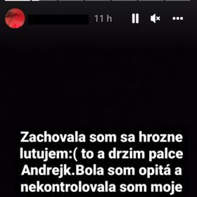 Agresorka se omluvila své oběti. Bude to ale stačit?