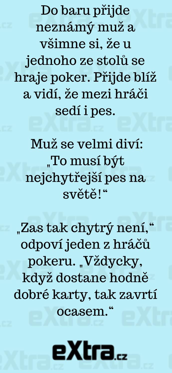 Foto k tématu Vtipy – stránka 877