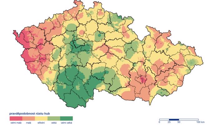 Foto k tématu houby – stránka 47