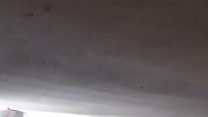 FOTO: Vyděšení lidé přihlíželi Ameliině vystoupení.