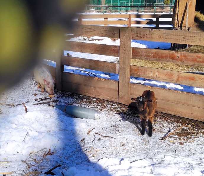 FOTO: Zbytky rakety vedle zvířat v Ekoparku. – stránka 1021