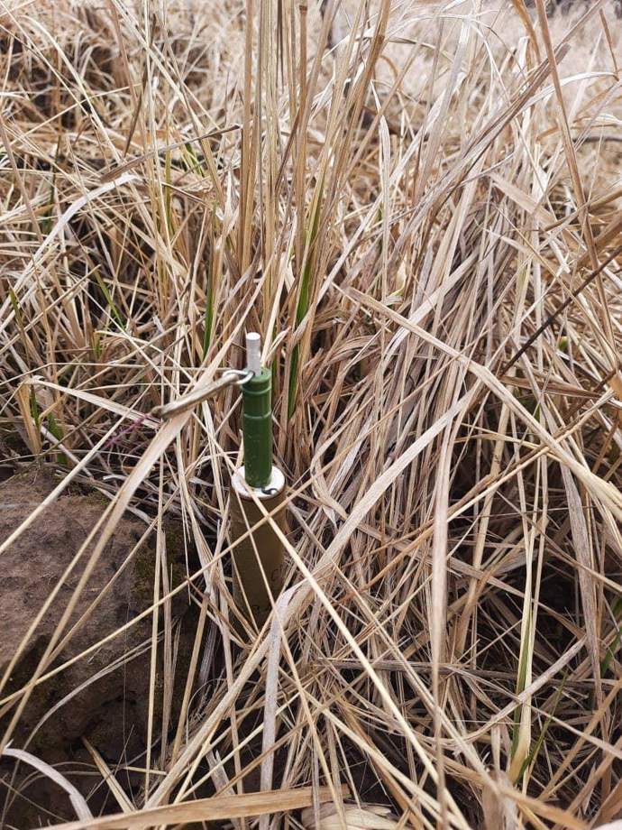 FOTO: Nebezpečí číhá i ve vysoké trávě. – stránka 1039