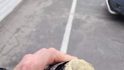 FOTO: Ruské jednotky poschovávaly výbušniny  všude možně.