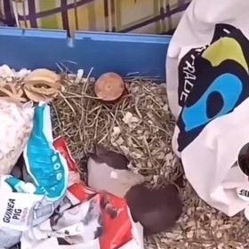 Jen tak tam leželo mezi dalšíma věcma.