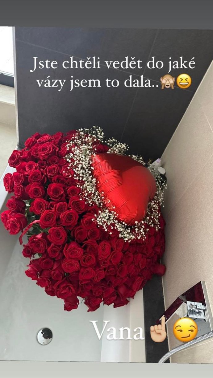 FOTO: Dominika darované růže musela dát do vany. – stránka 385