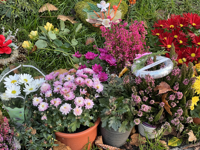 FOTO: Hrob Karla Gotta. – stránka 56