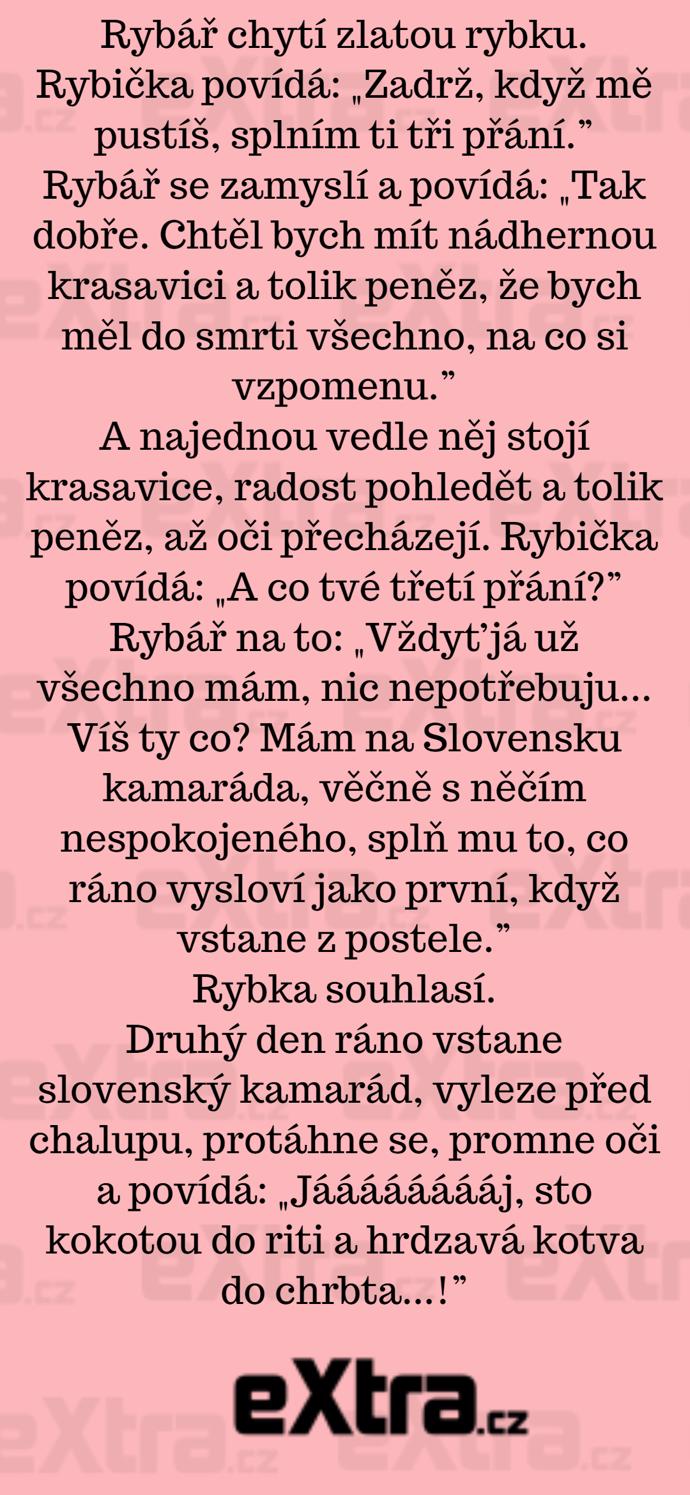 Foto k tématu Vtipy – stránka 741