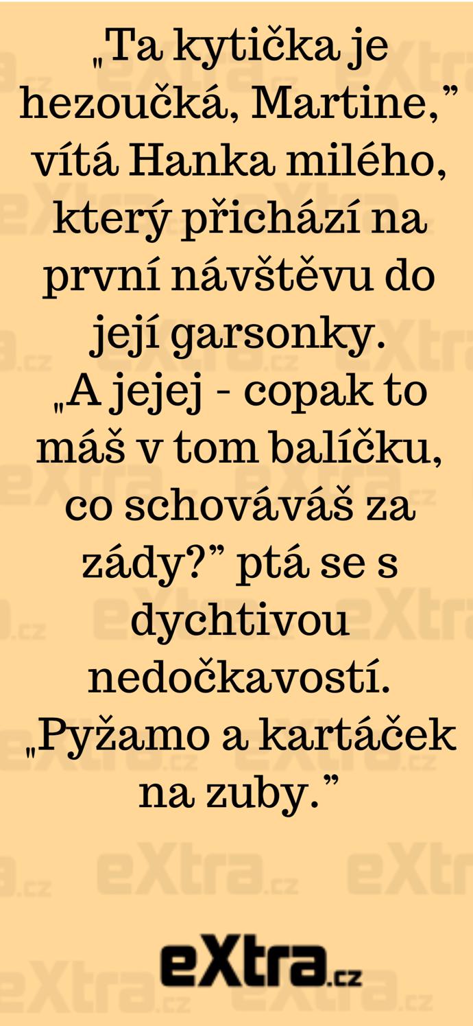 Foto k tématu Vtipy – stránka 674