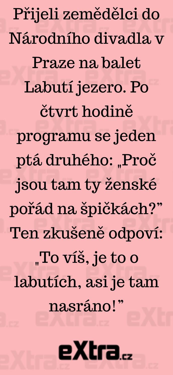 Foto k tématu Vtipy – stránka 551