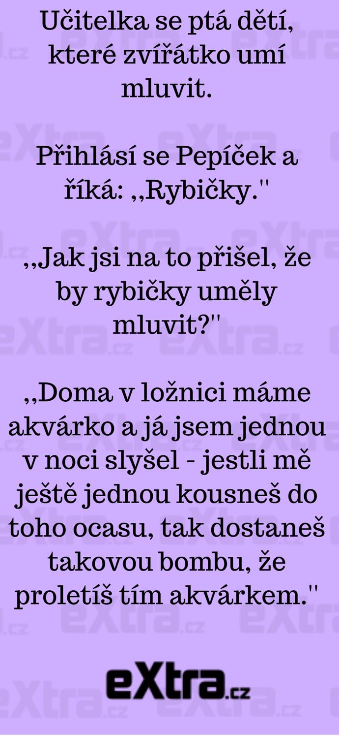 Foto k tématu Vtipy – stránka 822