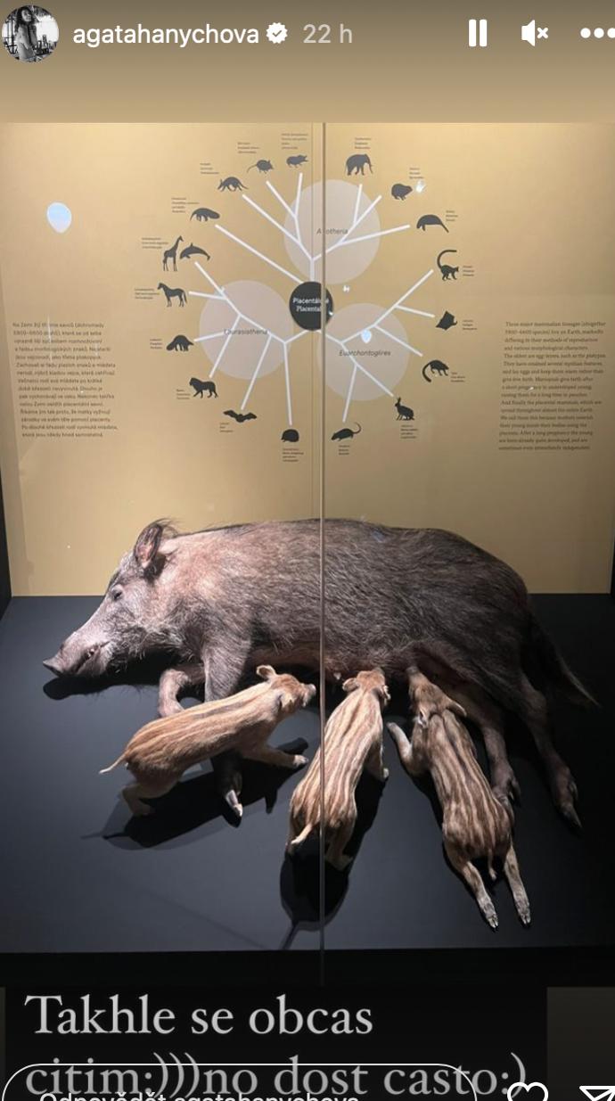 Foto k tématu Agáta Hanychová – stránka 2690