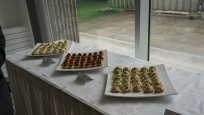 FOTO: Raut na komorním setkání na české ambasádě v Londýně s Petrem Pavlem a jeho ženou Evou.