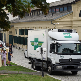 Žádné kolotoče ani květinová výzdoba na místě není.