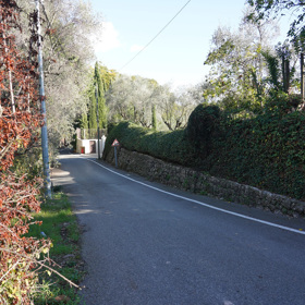 Takto vypadá příjezdová cesta.