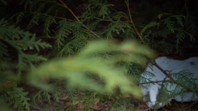 FOTO: Ukrajinští vojáci našli v lese poblíž Buči zastřelené civilisty se svázanými rukami za zády.