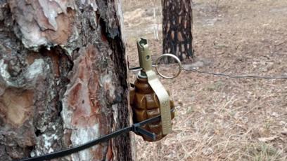 FOTO: Nebezpečí číhá i v lesích.