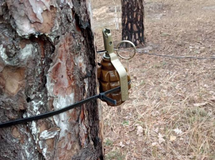 FOTO: Nebezpečí číhá i v lesích. – stránka 1044