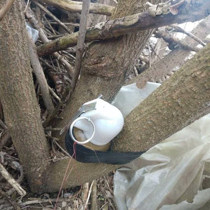 FOTO: Výbušniny jsou často připevněné ke stromům. – stránka 1040