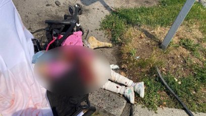 FOTO: Malá Liza útok nepřežila.