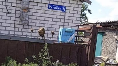FOTO: Hlava napíchnutá na kůlu.