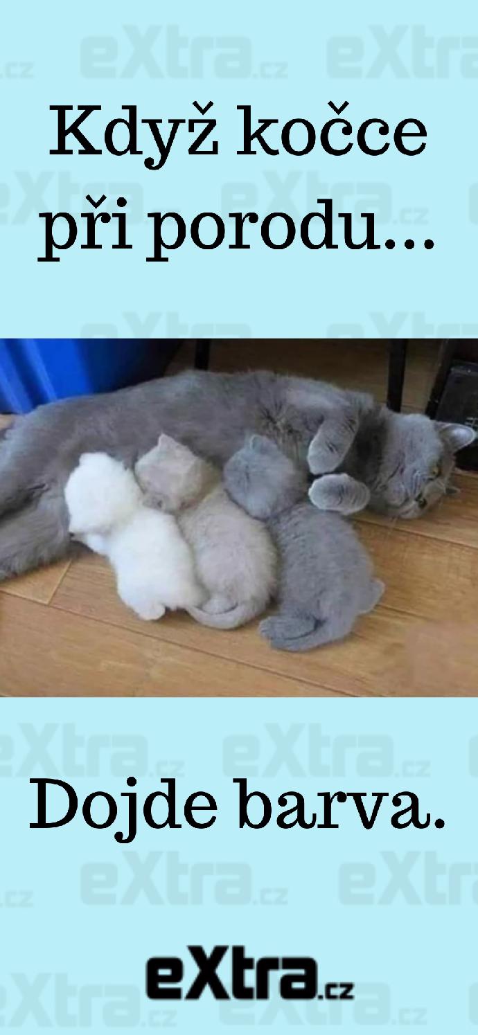 Foto k tématu Vtipy – stránka 1175