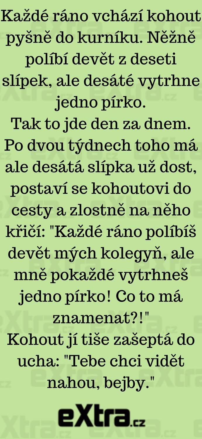 Foto k tématu Vtipy – stránka 1084