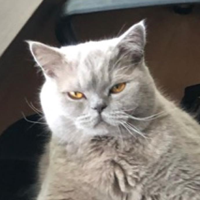 Foto k tématu Test – stránka 18