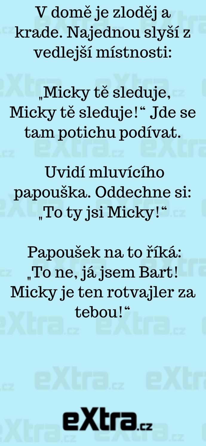 Foto k tématu Vtipy – stránka 837