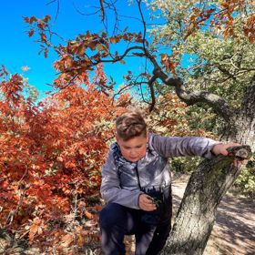 Quentin je velký bráška.