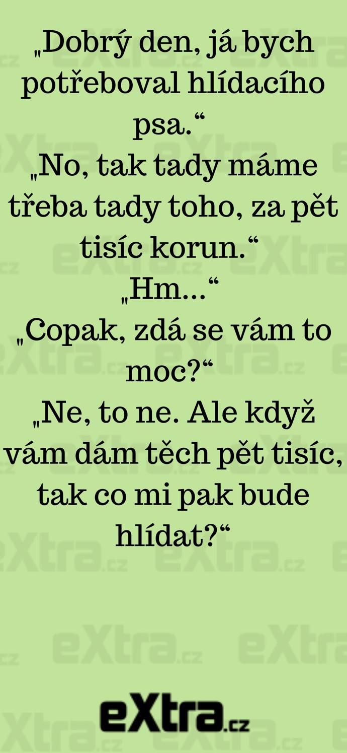 Foto k tématu Vtipy – stránka 1088