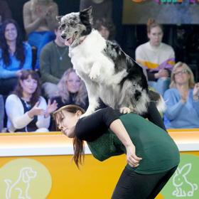 V show Šampioni se předvede mnoho zvířecích rekordmanů.