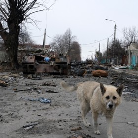 Buča těsně po osvobození.