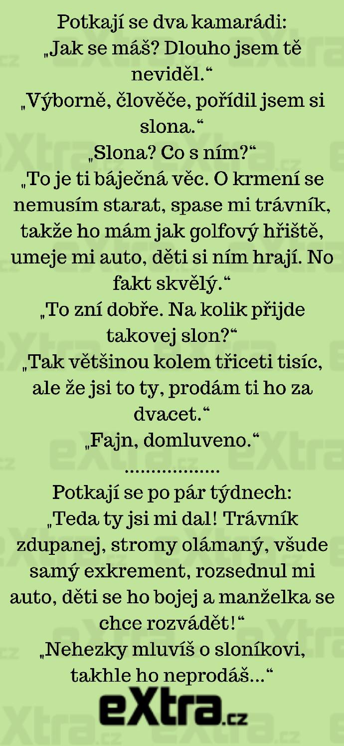 Foto k tématu Vtipy – stránka 1140