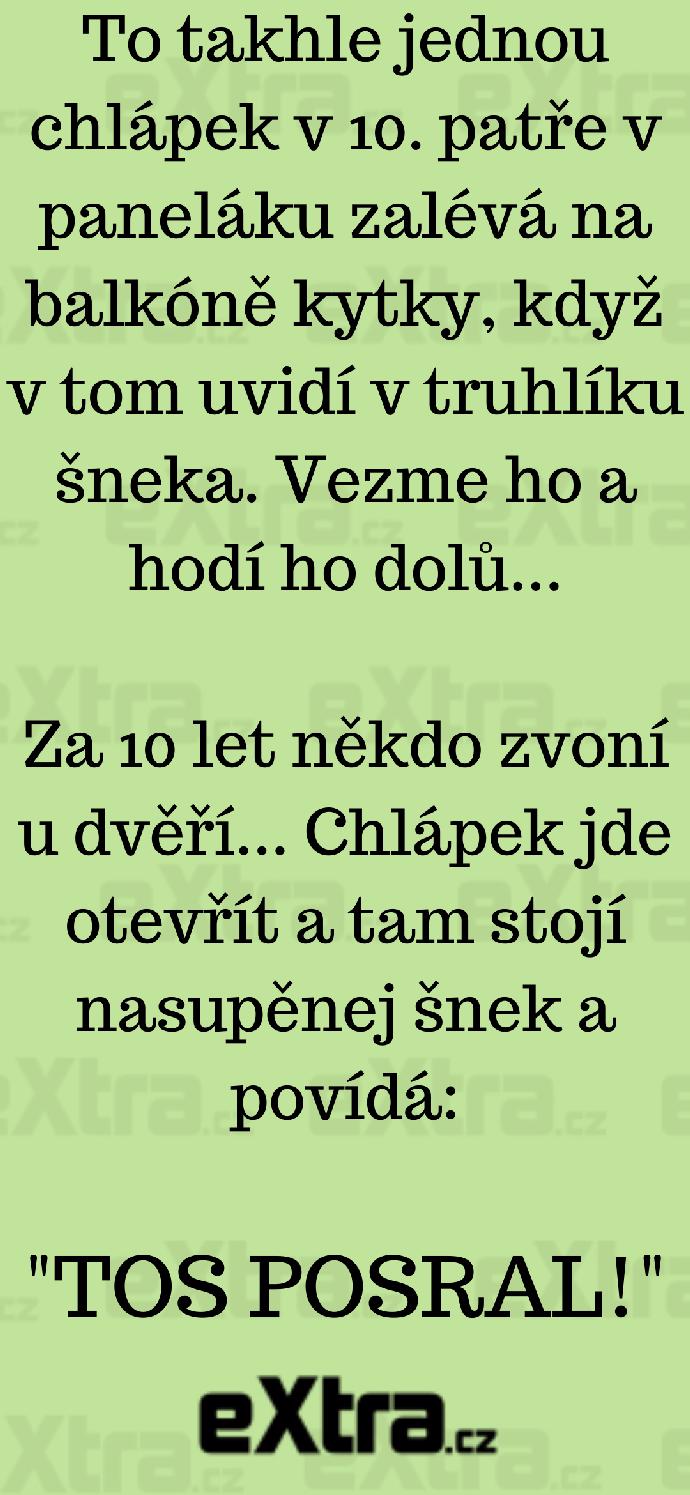 Foto k tématu Vtipy – stránka 1173