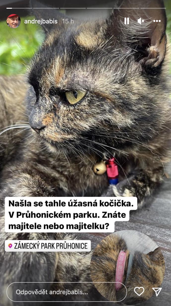FOTO: Andrej Babiš se staral o nalezenou kočku. – stránka 1221