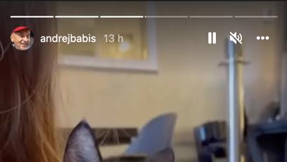 FOTO: O kočku bylo postaráno.