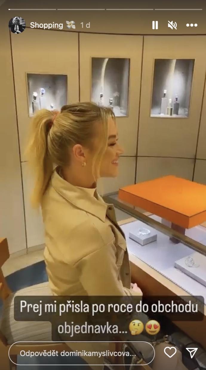 FOTO: Dominika Myslivcová si šla pro svůj nákup do Hermés. – stránka 454
