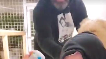 FOTO: Karlos Vémola