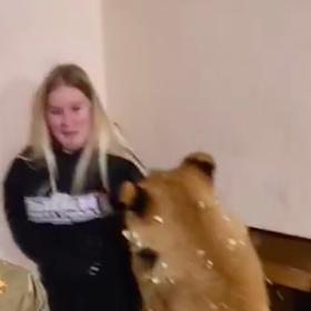 Ve výběhu s dravou šelmou se dětem příliš nelíbilo. 