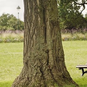 Nová komedie režiséra Martina Horského Srdce na dlani. 